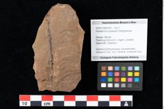 Foto (Objekt + Etikett) von Peridermium palaeopini Ettingshausen (NHMW-GEO-2024-0188-0004)